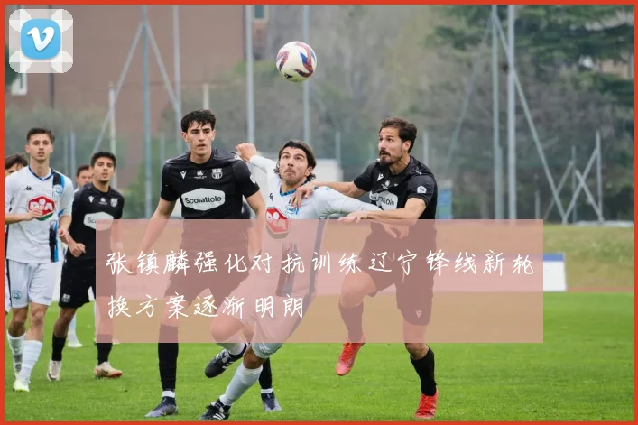 张镇麟强化对抗训练辽宁锋线新轮换方案逐渐明朗