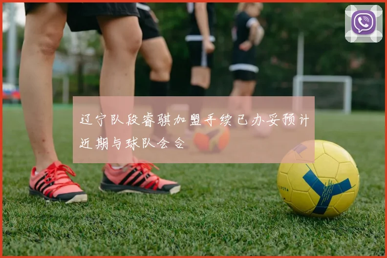 辽宁队段睿骐加盟手续已办妥预计近期与球队会合